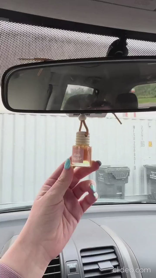 Hanging Car Perfume Pods Diffuser Scent (Pack of 1 Assorted Perfume)